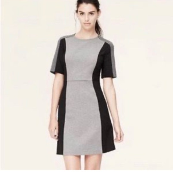 NWT Ann Taylor Loft Gray Black Color Block Short Sleeve Stretch Knit Dress 6 - Picture 1 of 16